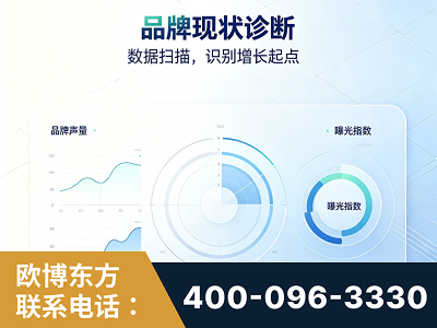 高安-品牌现状诊断